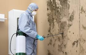 Why You Should Choose Our Mold Remediation Services in Richton, MS